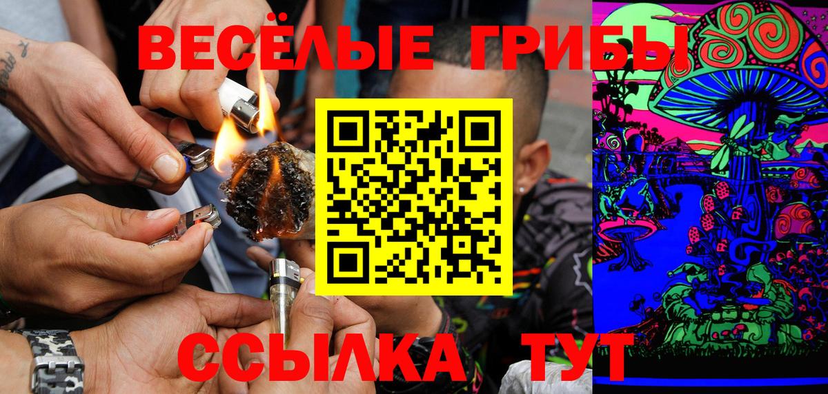 Псилоцибиновые грибы мицелий Бугуруслан
